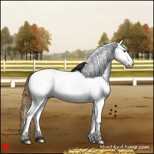 Horse Color:White Spotted Red Dun 