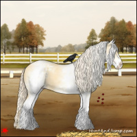 Horse Color:White Spotted Palomino Dun