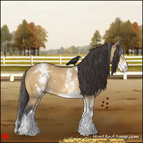 Horse Color:White Spotted Buckskin Dun