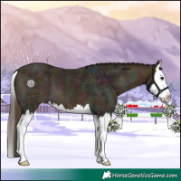Horse Color:Midnight Buckskin Ice Splash 