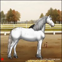 Horse Color:White Spotted Silver Grullo 