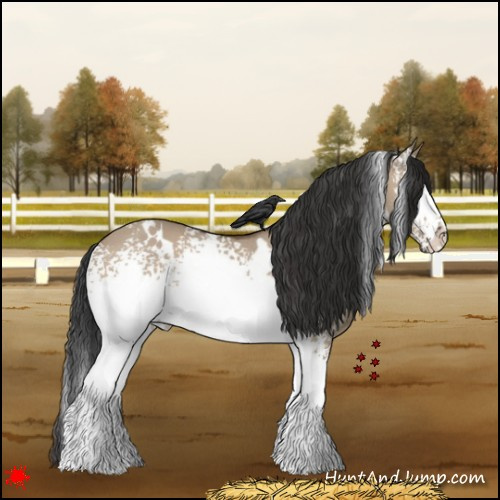 Horse Color:White Spotted Bay Dun Rabicano 