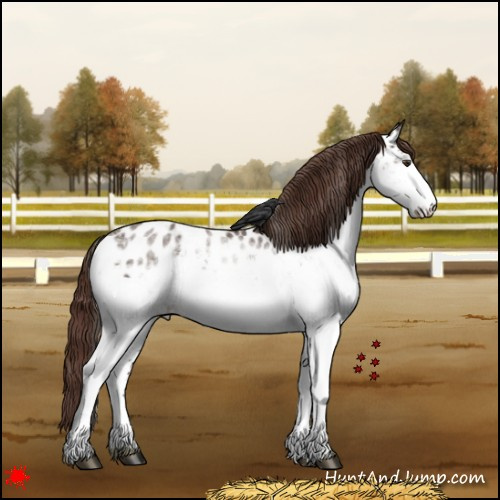 Horse Color:White Spotted Liver Chestnut Near Leopard 