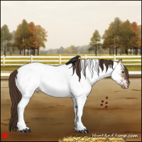 Horse Color:White Spotted Liver Red Dun Tobiano Near Fewspot