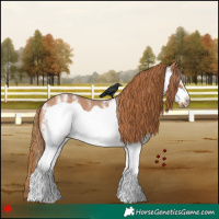 Horse Color:White Spotted Chestnut Frame