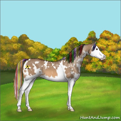 Horse Color:Painted White Spotted Bay Dun Splash Varnish 