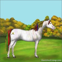 Horse Color:Painted Red Dun Ice Sabino Varnish 
