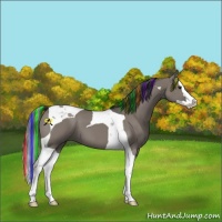Horse Color:Painted Grullo Splash Tobiano 
