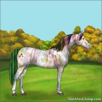 Horse Color:Painted White Spotted Brown Ice Sabino Appaloosa 