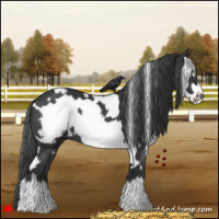 Horse Color:White Spotted Black Frame 
