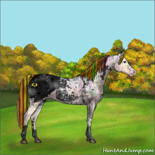 Horse Color:Void Painted White Spotted Buckskin Ice Tobiano Snowcap 