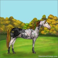 Horse Color:Void Painted White Spotted Buckskin Ice Tobiano Snowcap 