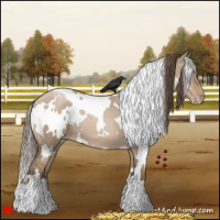 Horse Color:White Spotted Grullo Pearl
