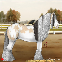 Horse Color:White Spotted Bay Dun Sabino Splash 
