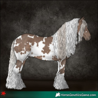 Horse Color:White Spotted Silver Black 