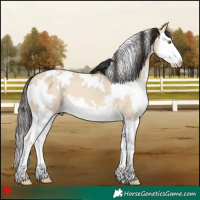 Horse Color:White Spotted Amber Champagne Dun Splash 