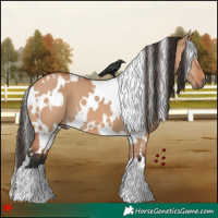Horse Color:White Spotted Bay Dun