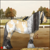Horse Color:White Spotted Buckskin Dun 