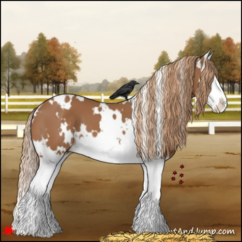 Horse Color:White Spotted Chestnut Splash