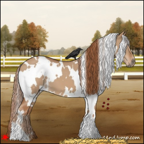 Horse Color:White Spotted Red Dun 