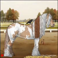 Horse Color:White Spotted Red Dun 