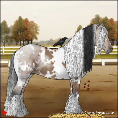 Horse Color:White Spotted Bay Dun