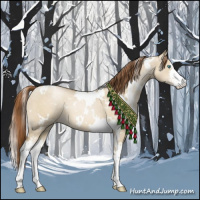 Horse Color:White Spotted Smoky Grullo Pearl Sabino
