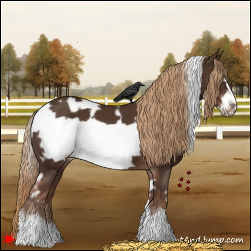 Horse Color:White Spotted Liver Chestnut Frame 