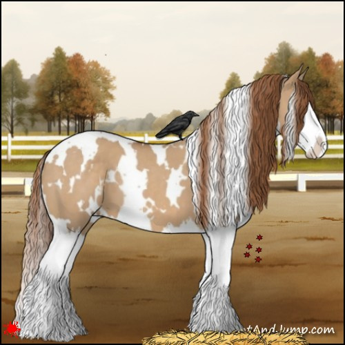 Horse Color:White Spotted Red Dun Splash