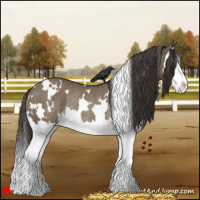 Horse Color:White Spotted Smoky Grullo Splash Rabicano 