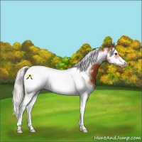 Horse Color:Silver Bay Splash Tobiano Frame Blanket 