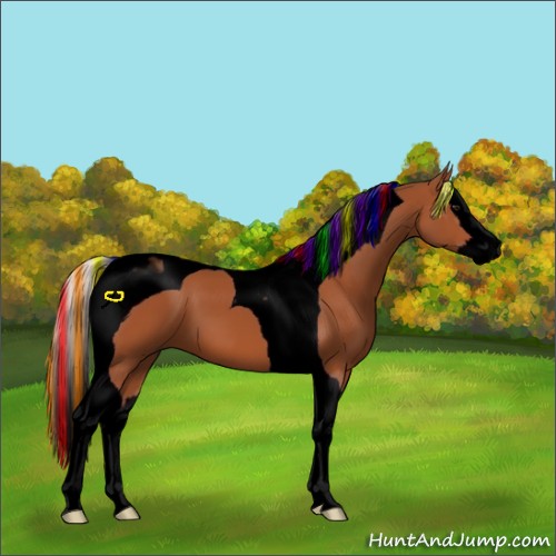 Horse Color:Void Painted Silver Bay Splash Tobiano 