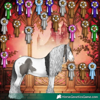 Horse Color:Grullo Splash Tobiano Rabicano 