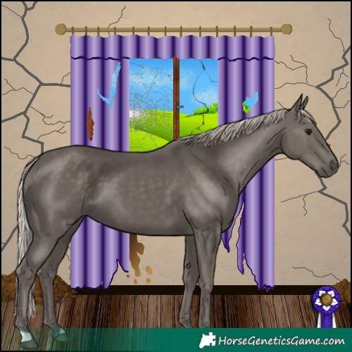 Horse Color:Silver Black 