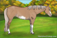 Horse Color:Silver Bay Dun Sabino Tobiano Frame Rabicano 