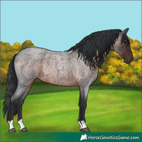 Horse Color:Brown Roan Rabicano 