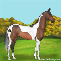 Horse Color:Bay Tobiano 