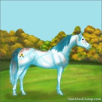 Horse Color:Thunderstruck Bay Ice Onyx Splash Frame Rabicano