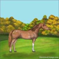 Horse Color:Chestnut Tobiano