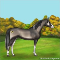 Horse Color:Blue Onyx Splash Tobiano 
