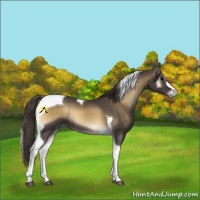 Horse Color:Smoky Blue Onyx Tobiano 