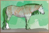 Horse Color:Buckskin Dun Splash  and Watercolor Buckskin Dun 