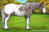 Horse Color:Platinum White Spotted Chocolate Silver Brown Snowcap 