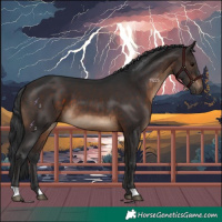 Horse Color:Brown 