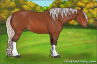 Horse Color:Silver Brown