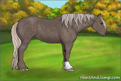 Horse Color:Silver Black
