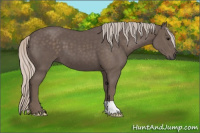Horse Color:Silver Black 