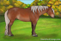 Horse Color:Silver Brown 