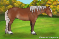 Horse Color:Silver Brown 