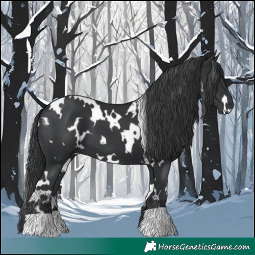 Horse Color:White Spotted Black